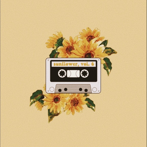 Meet your Posher, Sami - Picture 1 of 1